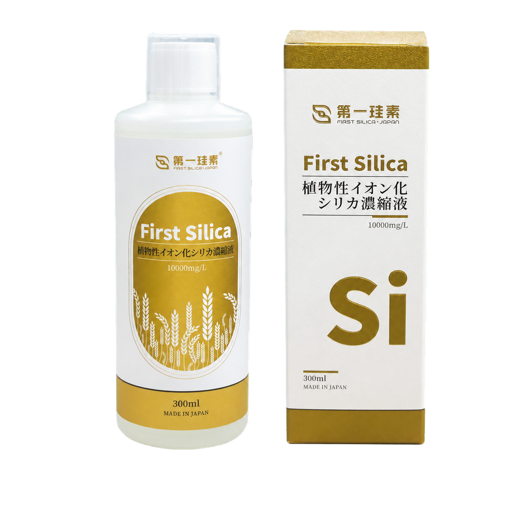 First Silica シリカ